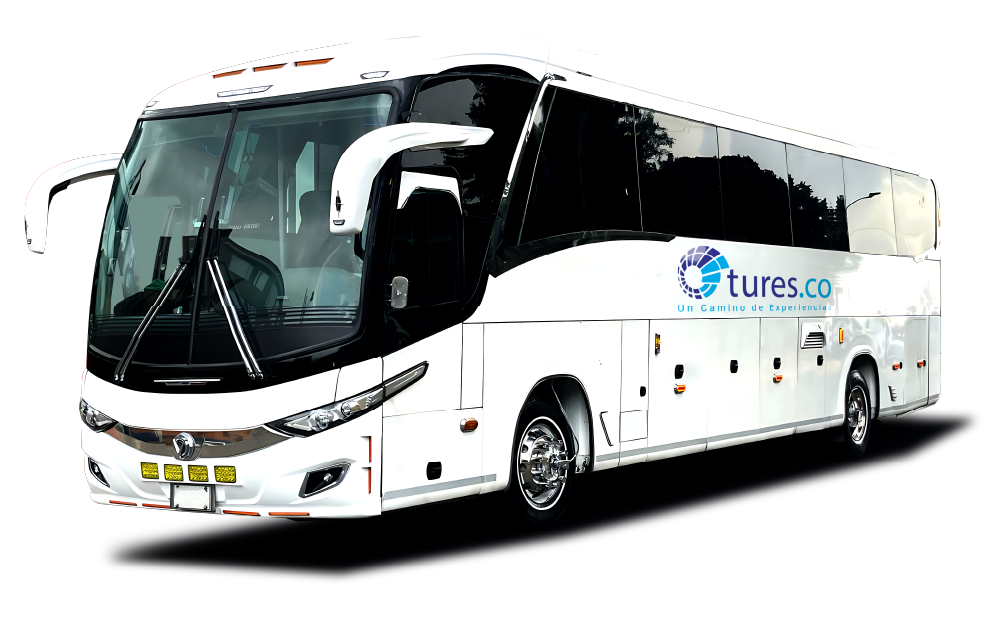 Auto web tures 01